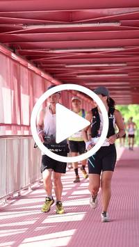 BIB:  <button type="button" onclick="openModal(27532531)" class="btn btn-primary btn-sm float-right" data-toggle="modal" data-target=".modal-high-quality">
                <i class="fa fa-download"></i> Download
                </button>